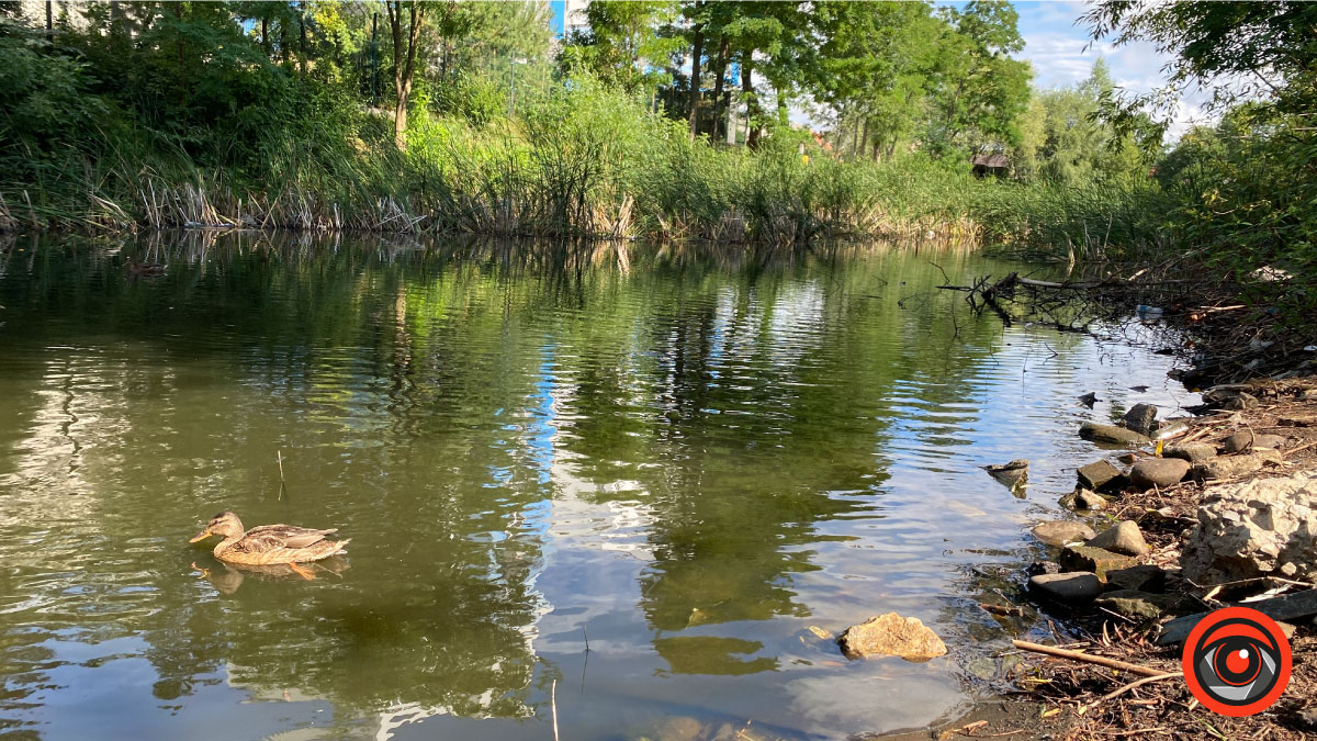 Ближче до води: добірка озер у Коломиї, де можна помилуватися природою