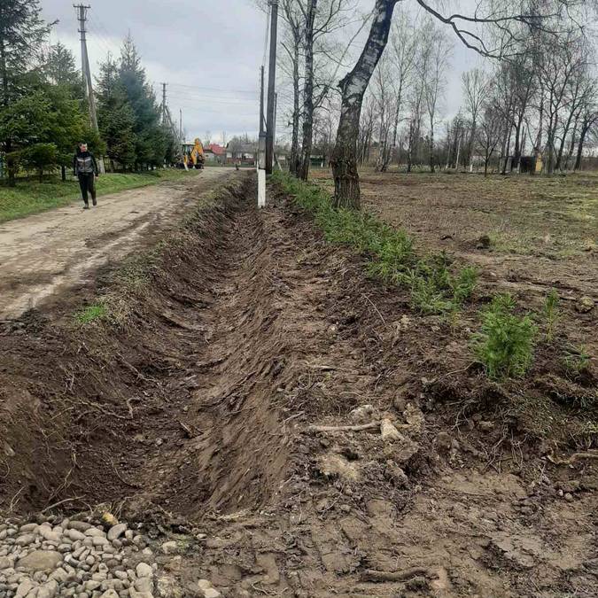 Мешканці П’ядицької громади висадили майже 900 ялинок