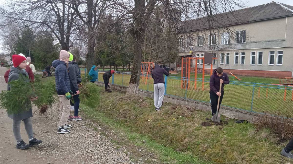 Мешканці П’ядицької громади висадили майже 900 ялинок