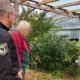 У пенсіонера з Косівщини виявили плантацію конопель та десятки набоїв