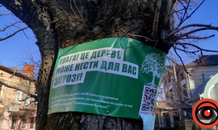 Виконком Коломиї дав дозвіл на зрізку 38 дерев у громаді