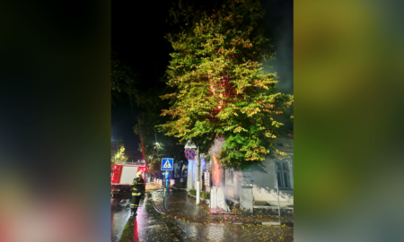 У середмісті Снятина підпалили дерево: шукають винуватців