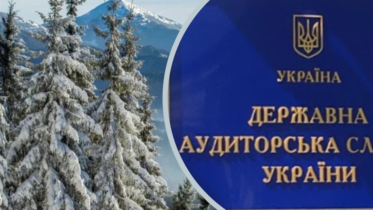 У Поляниці аудит через будівництво спорткомплексу за бюджетні кошти на землі Коломойського