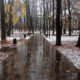 Погода у Коломиї 24 січня
