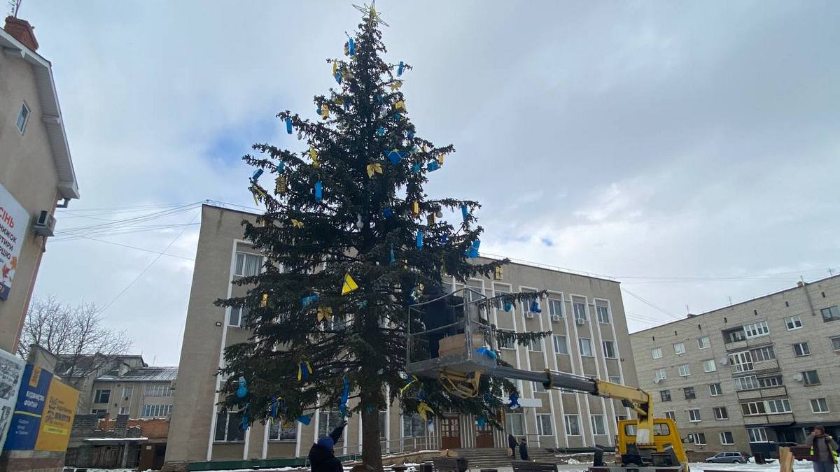 У центрі Городенки прикрасили живу ялинку