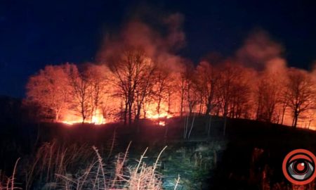 На Коломийщині масштабна пожежа сухої трави