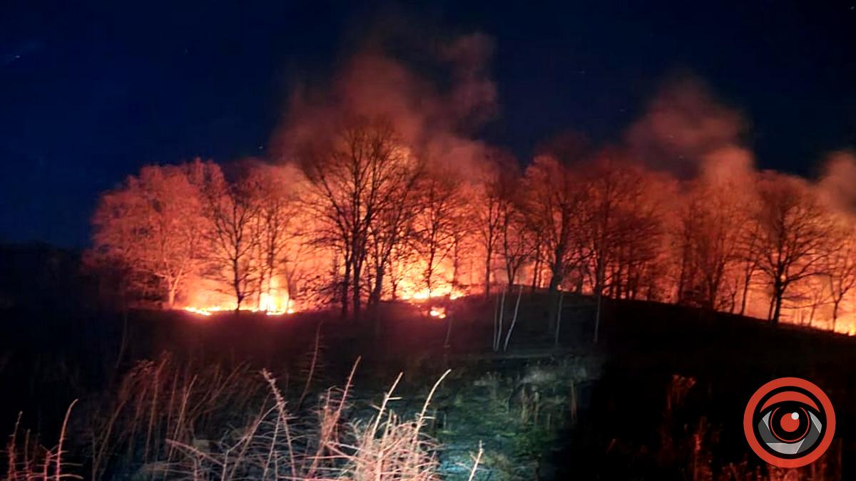 На Коломийщині масштабна пожежа сухої трави