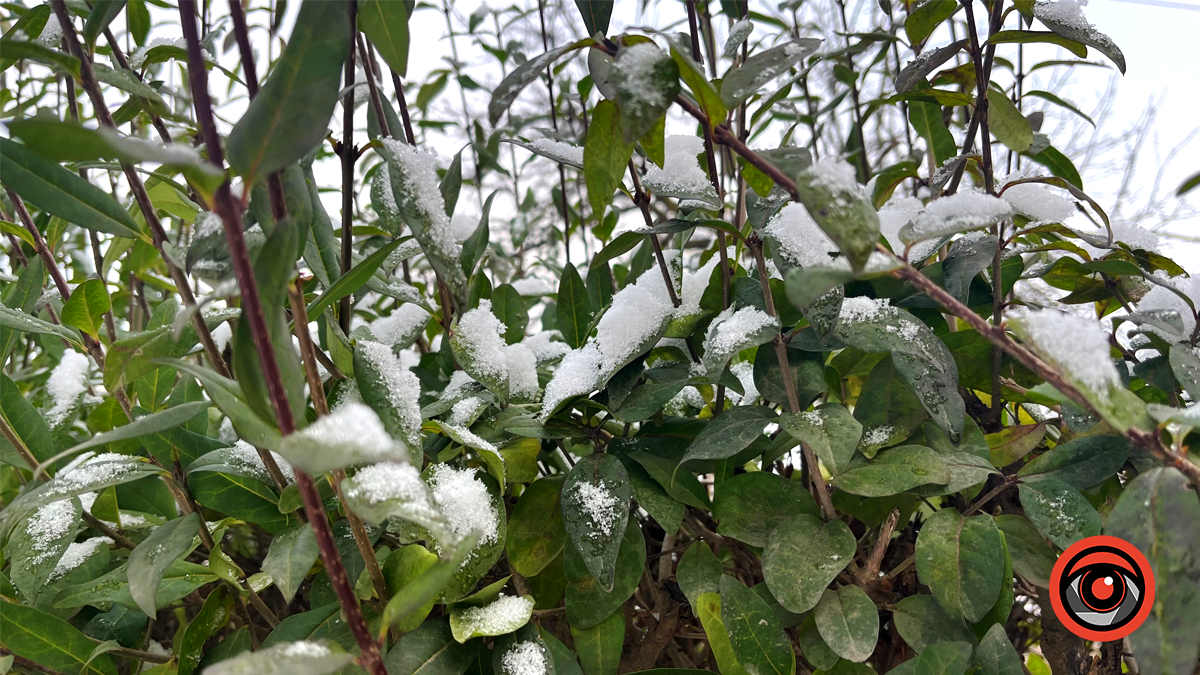 Дощ зі снігом | Погода у Коломиї 11 грудня