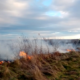 Дві пожежі сухої трави стались 3 січня на Коломийщині