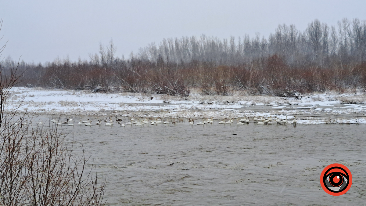 рівень води