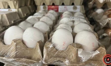 У кого дорожчі яйця: чи не переплачують громади Коломийщини на закупівлях яєць
