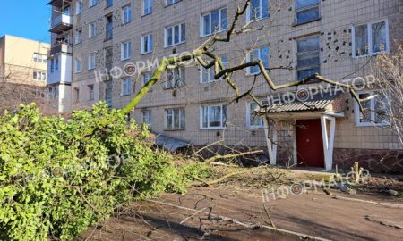 Втретє за три місяці: на подвір'я будинку в Коломиї знову повалило дерево