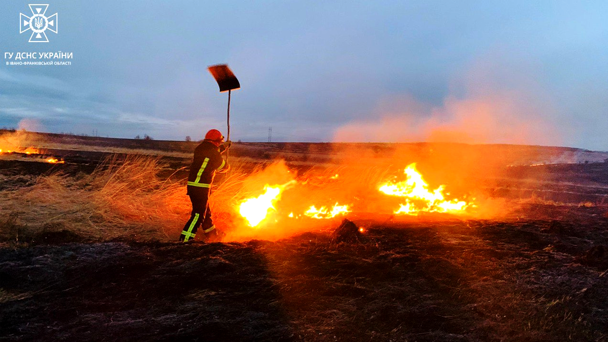 Протягом минулої доби рятувальники 5 разів ліквідовували пожежі сухої на Прикарпатті