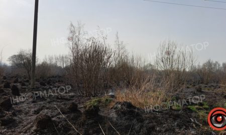 На околиці Коломиї палає понад гектар сухотрав'я