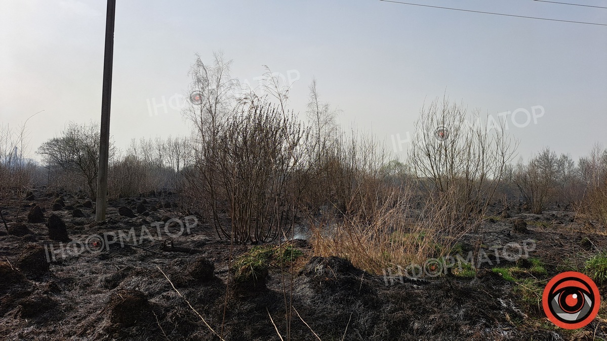 На околиці Коломиї палає понад гектар сухотрав'я