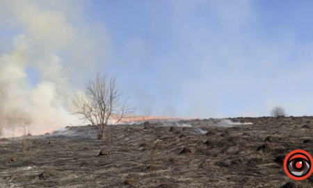 13 пожеж сухої трави сталося на Коломийщині за неділю