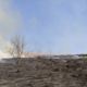 13 пожеж сухої трави сталося на Коломийщині за неділю