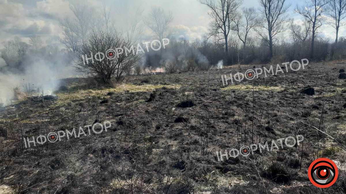 На Коломийщині розгорілася пожежа сухої трави - вогонь знищив сотні метрів землі