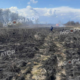 На Коломийщині вогонь знищив сотні метрів землі