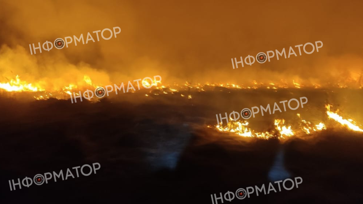 На Коломийщині протягом тижня рятувальники загасили десяток пожеж сухої трави