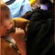 На Прикарпатті рятувальники допомагали витягнути палець дитини з іграшки
