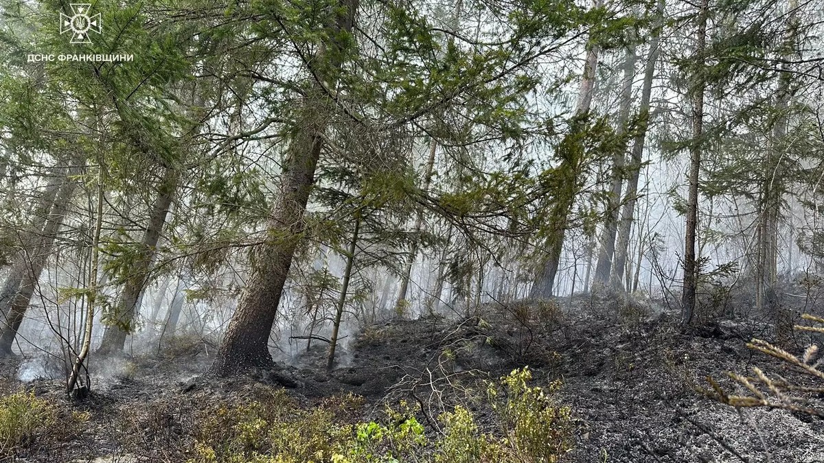 Під Микуличином горів ліс: вогонь змогли приборкати за 5 годин