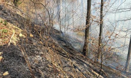 На Надвірнянщині 9 квітня сталася масштабна лісова пожежа