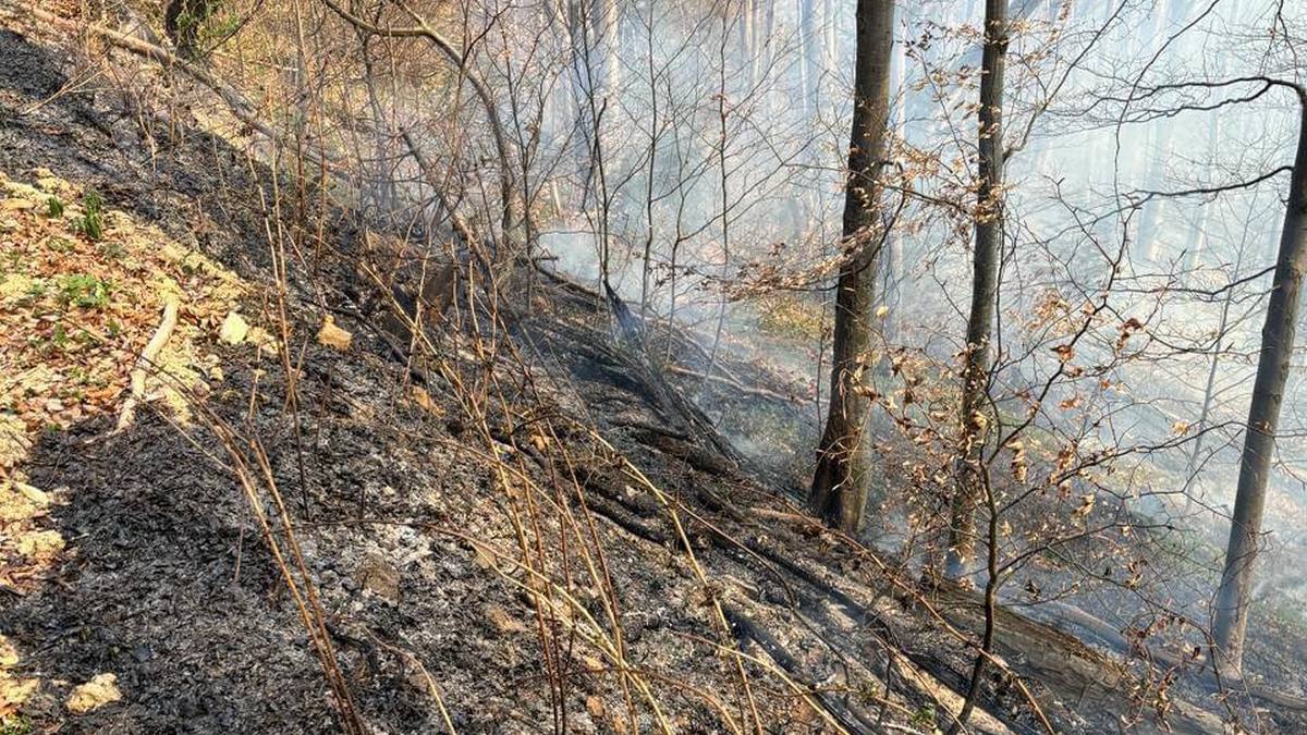 На Надвірнянщині 9 квітня сталася масштабна лісова пожежа