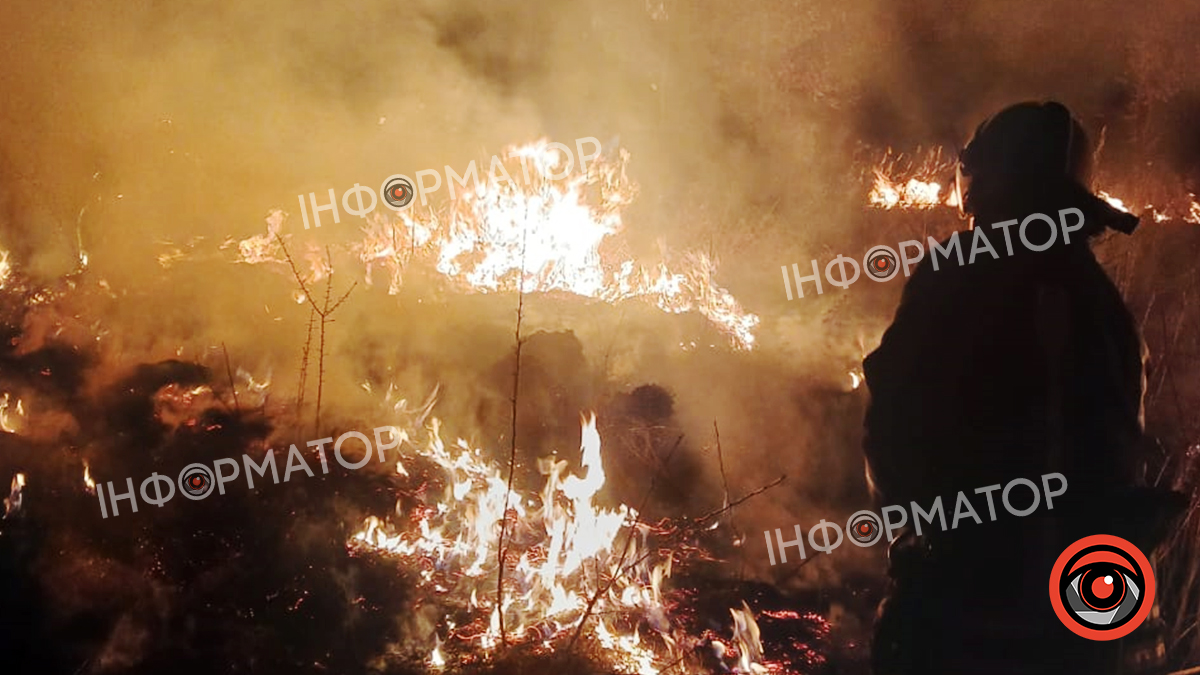 У селі на Коломийщині згоріло 2 гектари сухої трави