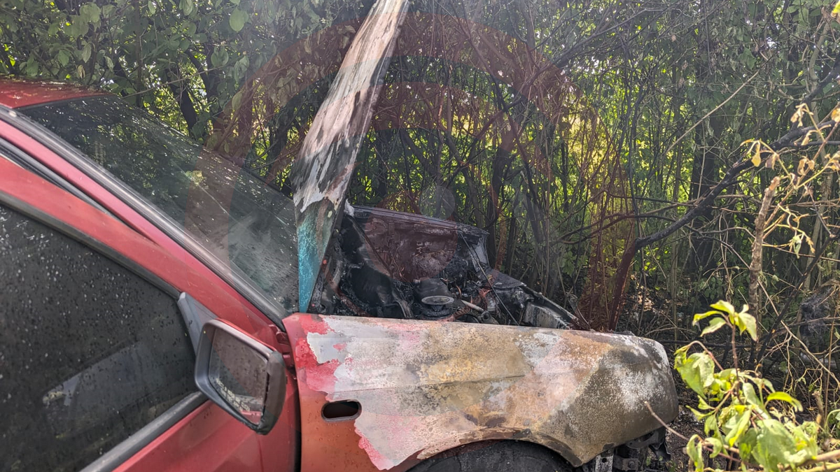 На Коломийщині вогонь понищив автомобіль