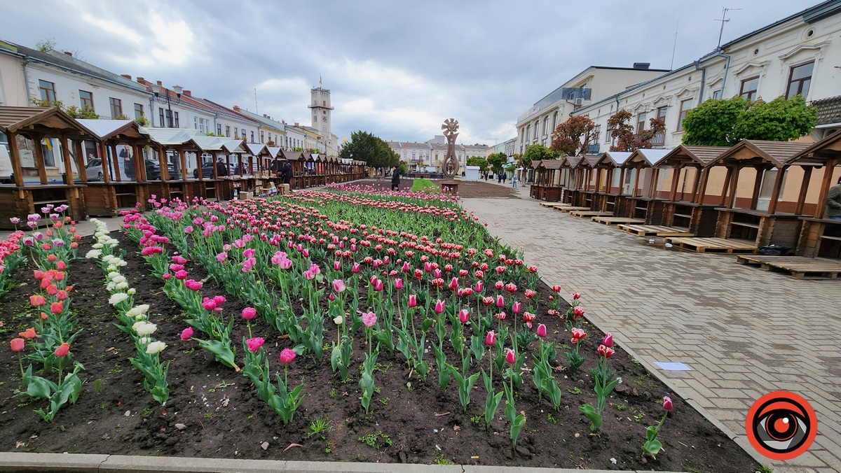 Барвиста Коломия у квітні 2024 року. Фото