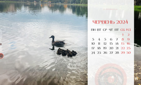 Календар на червень-2024 від Інформатора