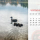 Календар на червень-2024 від Інформатора