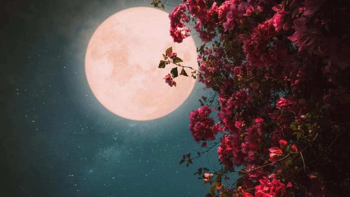 Коли українці зможуть побачити Полуничний місяць?