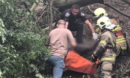 На Косівщині дерево впало на чоловіка, він загинув