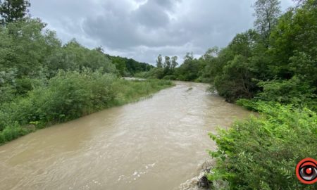 Громада на Коломийщині готова заплатити майже 18 млн грн за будівництво дамби на річці Прут