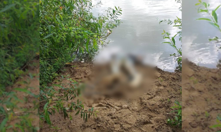 У річці Тиса знайшли тіло ще одного чоловіка