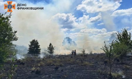 Від початку року на Прикарпатті зафіксували майже 1000 пожеж в екосистемах