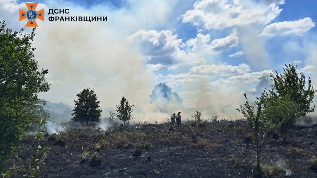 Від початку року на Прикарпатті зафіксували майже 1000 пожеж в екосистемах