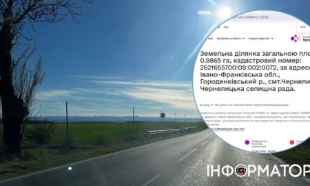 Майже гектар арештованої землі на Коломийщині продають за 1300€