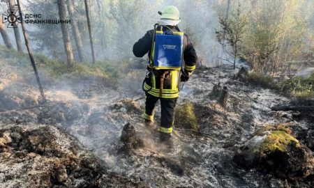 огонь охопив 1,5 гектара лісу