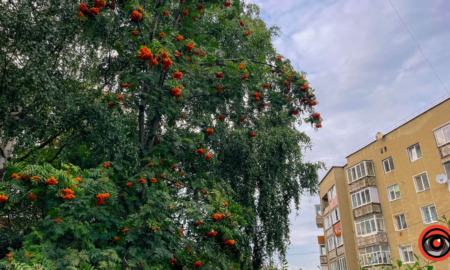 Погода в Коломиї на 10 вересня: хмарно