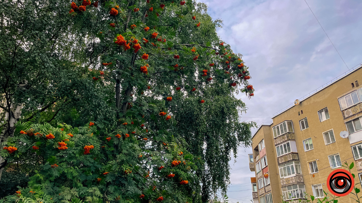 Погода в Коломиї на 10 вересня: хмарно