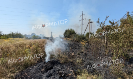 На околиці Коломиї - масштабна пожежа сухостою та чагарників