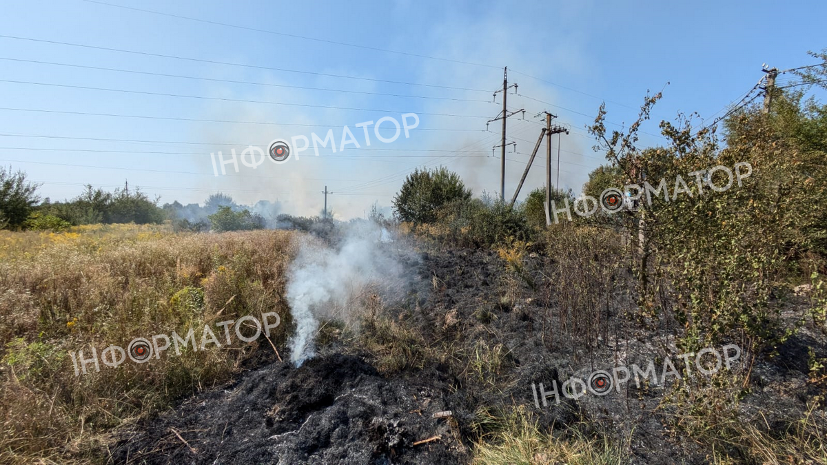 На околиці Коломиї - масштабна пожежа сухостою та чагарників