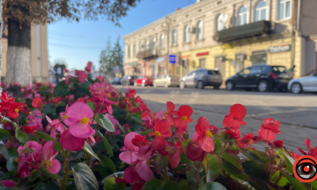 Погода в Коломиї 24 вересня: сонячно