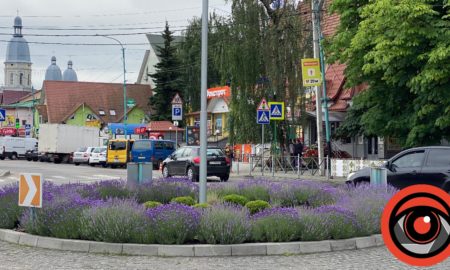 У Надвірній відмінили святкування Дня міста