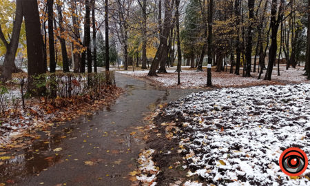 Чи очікувати вже першого снігу? Погода у Коломиї на листопад