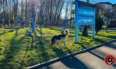 Коли чекати потепління в Україні