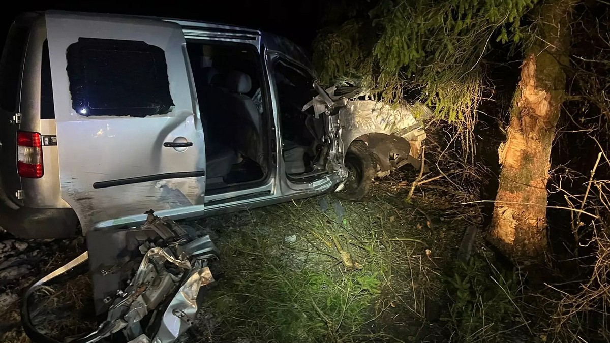 На Коломийщині авто врізалося в дерево, є постраждалий